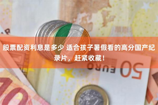 股票配资利息是多少 适合孩子暑假看的高分国产纪录片，赶紧收藏！