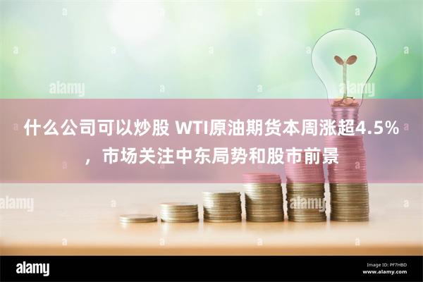 什么公司可以炒股 WTI原油期货本周涨超4.5%，市场关注中东局势和股市前景