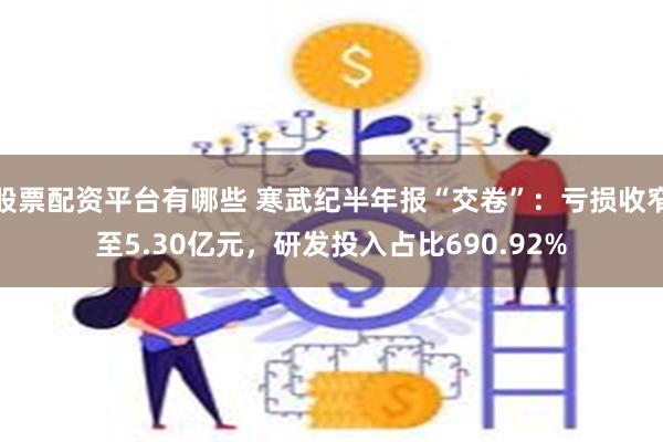 股票配资平台有哪些 寒武纪半年报“交卷”：亏损收窄至5.30亿元，研发投入占比690.92%