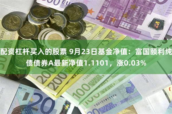 配资杠杆买入的股票 9月23日基金净值：富国颐利纯债债券A最新净值1.1101，涨0.03%