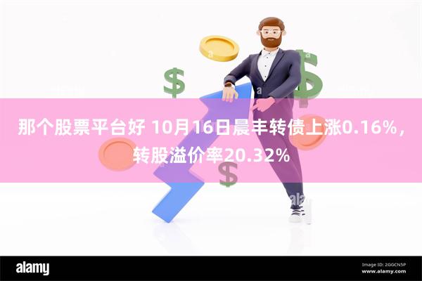 那个股票平台好 10月16日晨丰转债上涨0.16%，转股溢价率20.32%