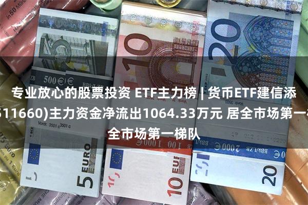 专业放心的股票投资 ETF主力榜 | 货币ETF建信添益(511660)主力资金净流出1064.33万元 居全市场第一梯队