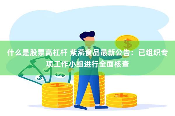 什么是股票高杠杆 紫燕食品最新公告：已组织专项工作小组进行全面核查