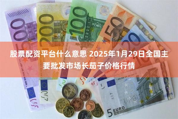 股票配资平台什么意思 2025年1月29日全国主要批发市场长茄子价格行情